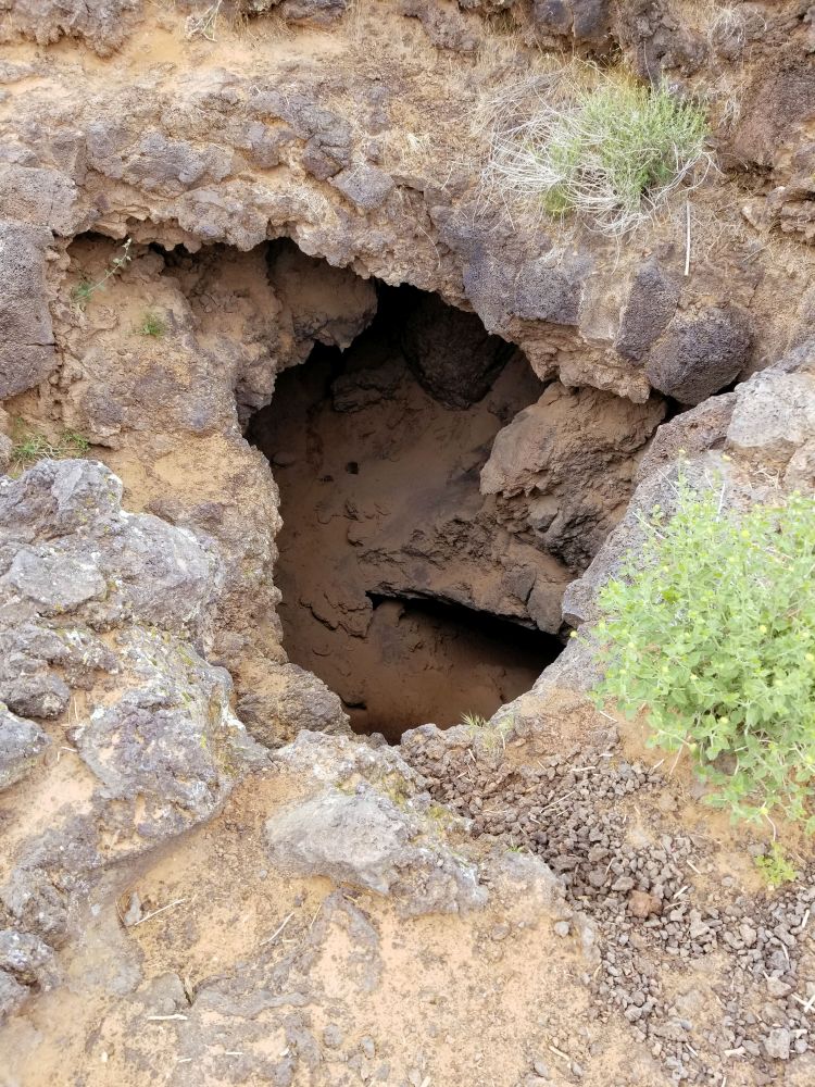 Outlook