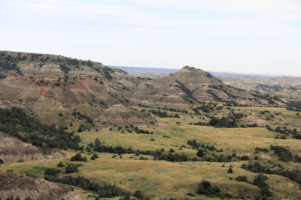 Outlook