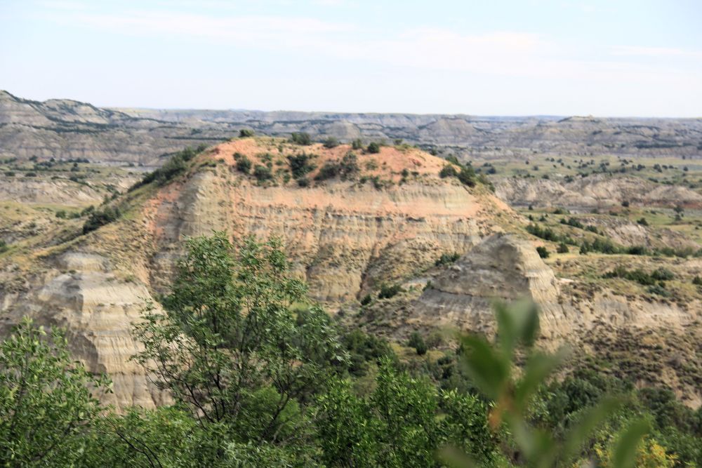 Outlook