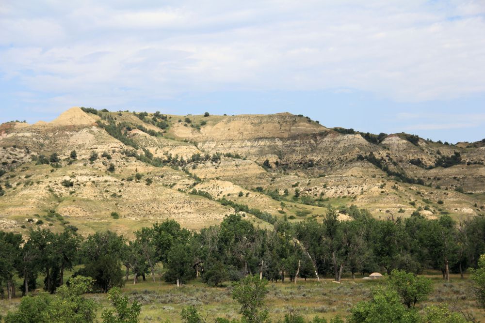 Outlook