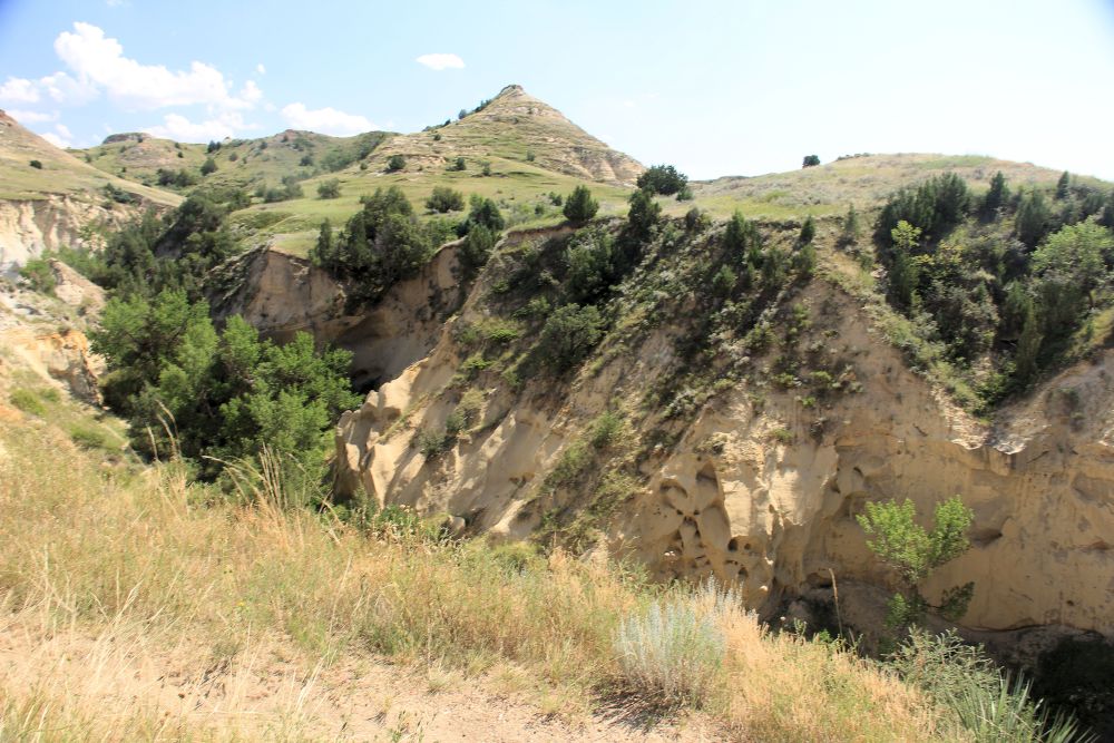 Outlook