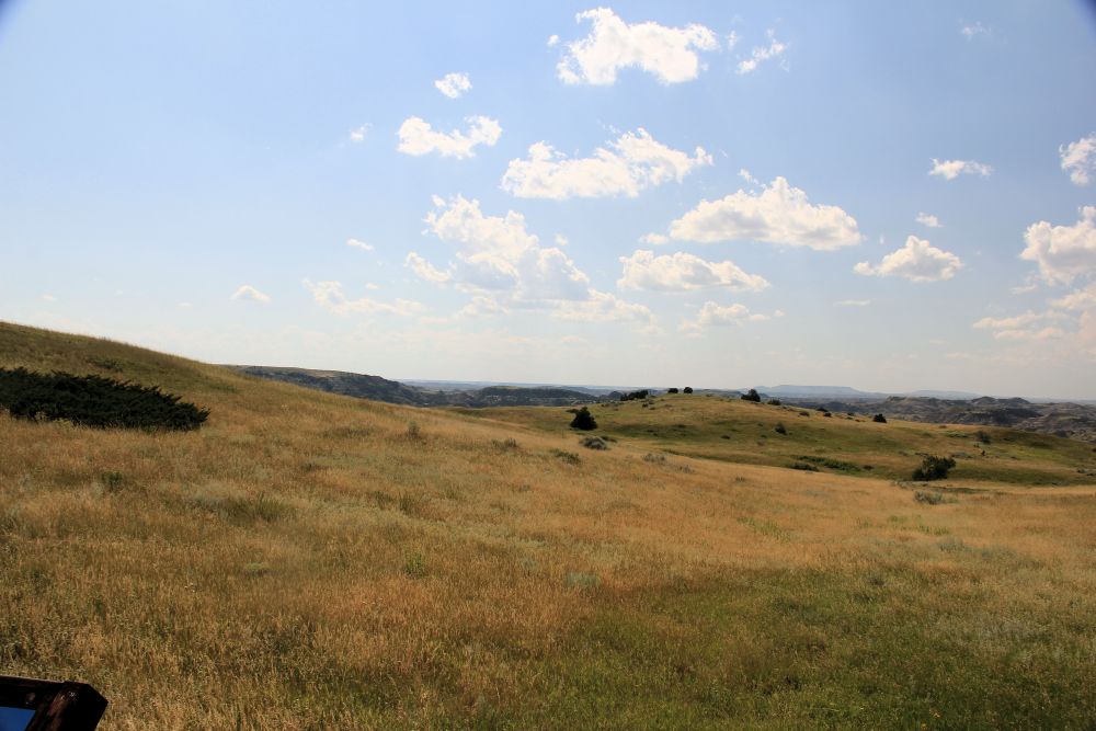 Outlook