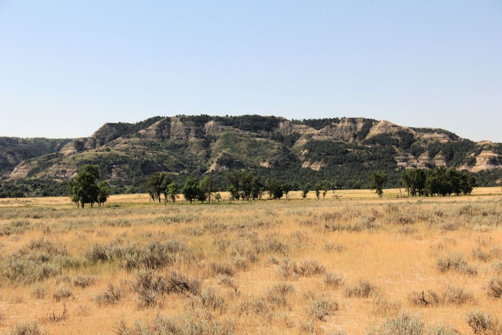 Outlook