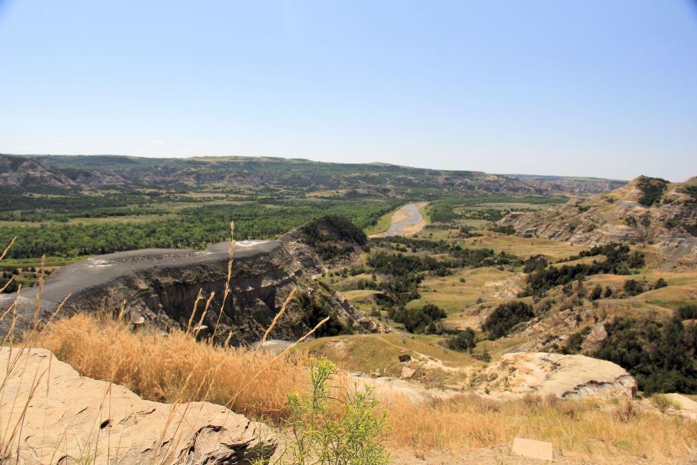 Outlook