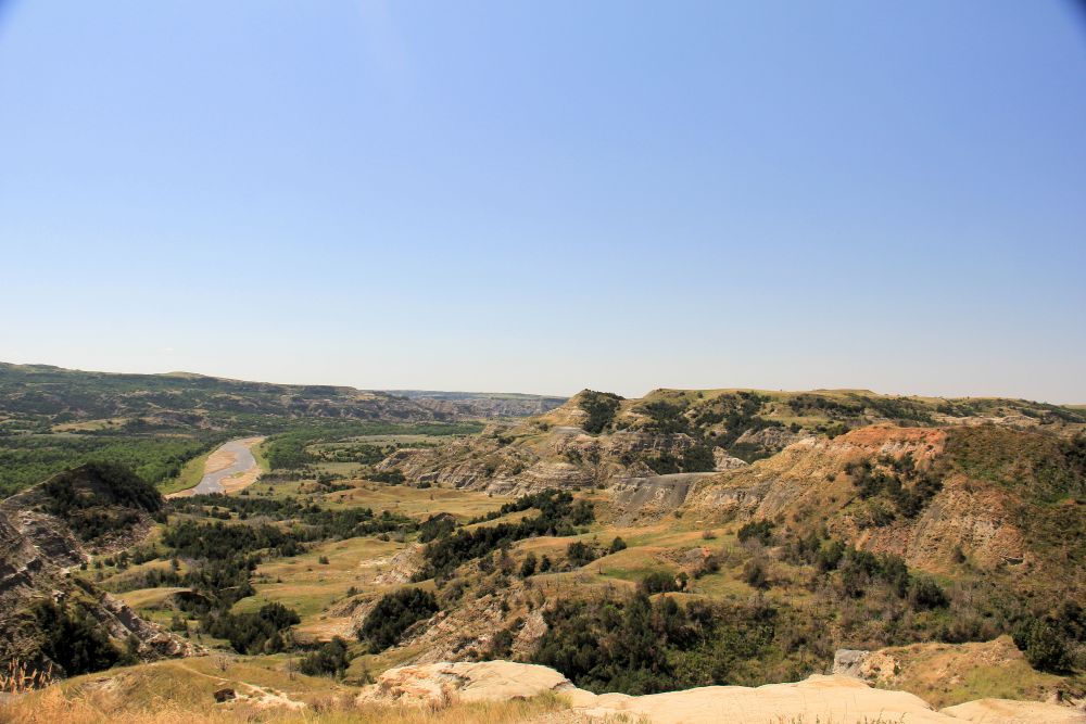 Outlook