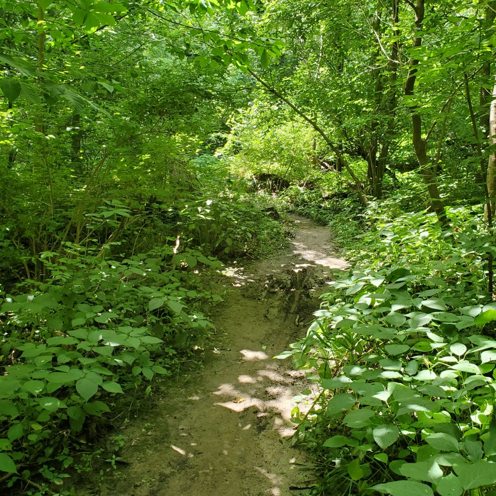 Outlook