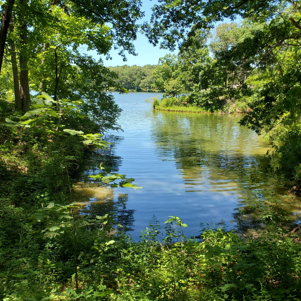 Outlook