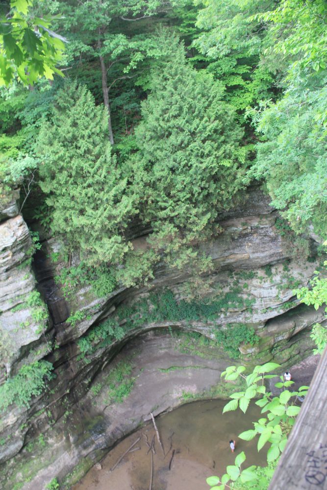 Outlook