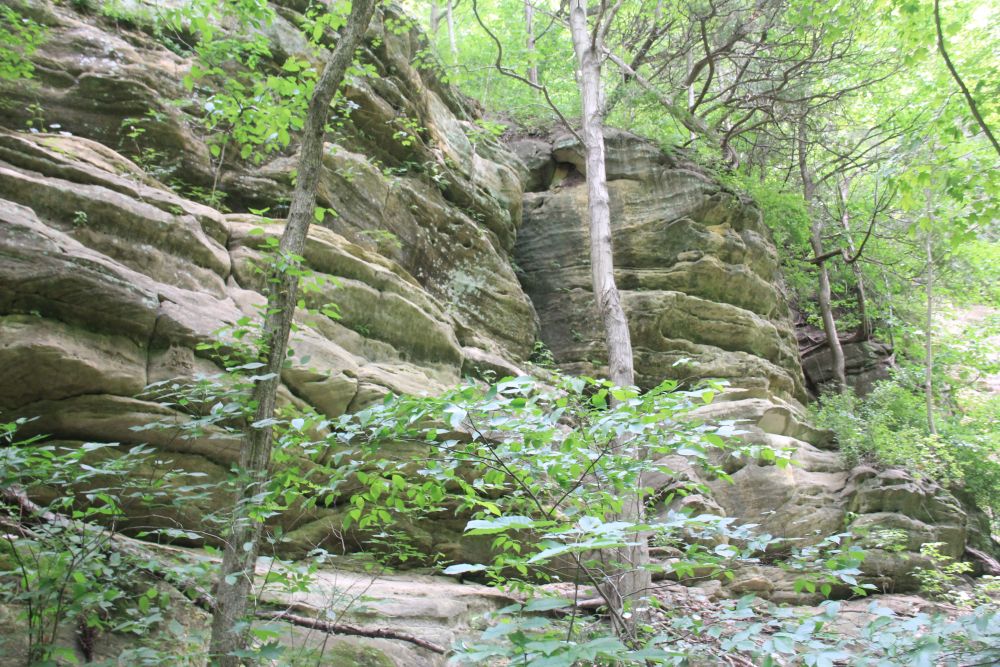 Outlook