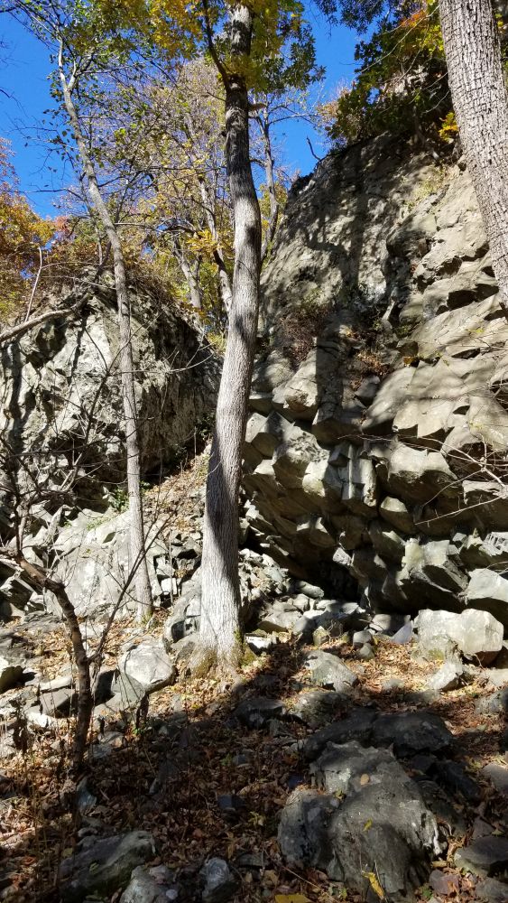Outlook