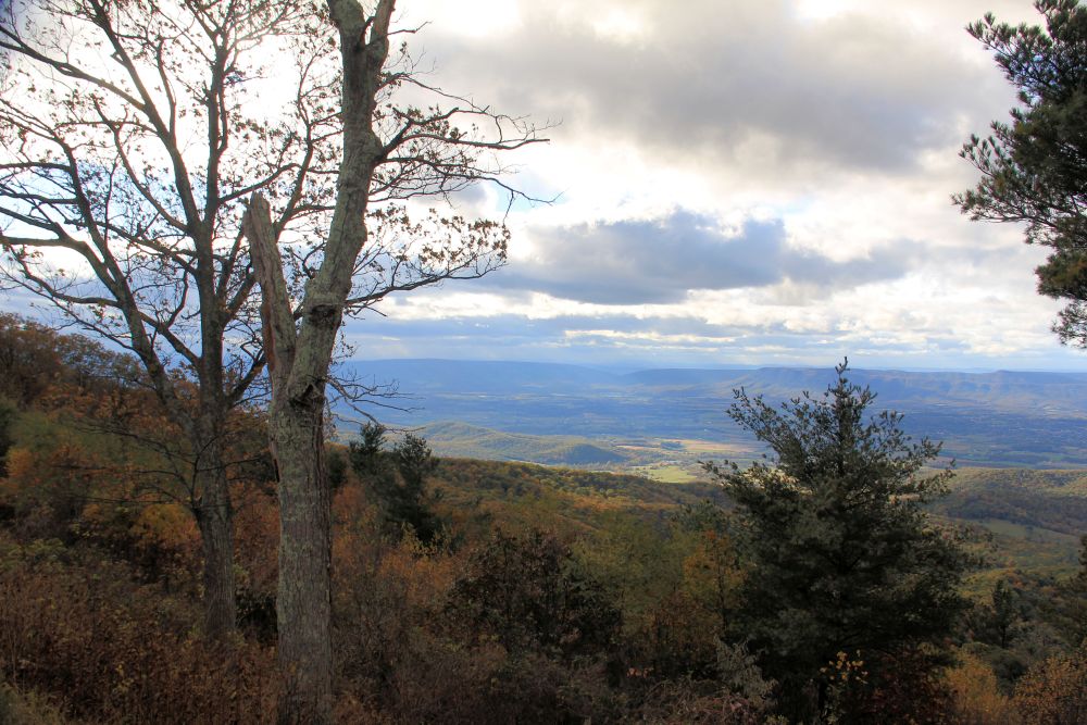 Outlook