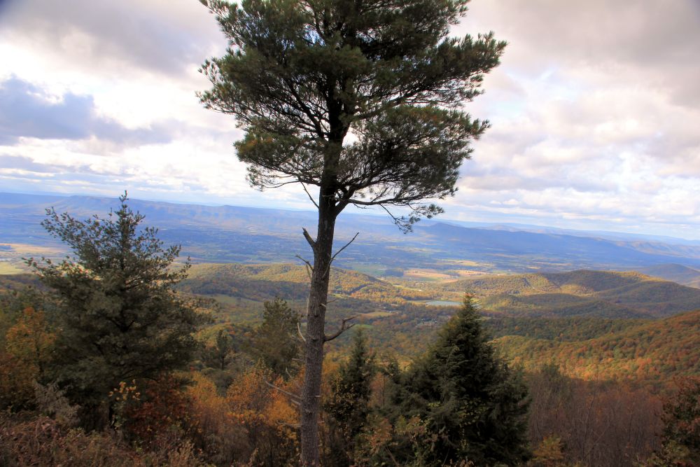 Outlook