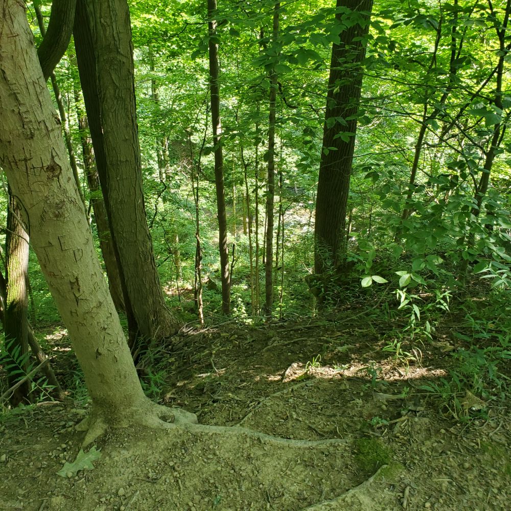 Outlook