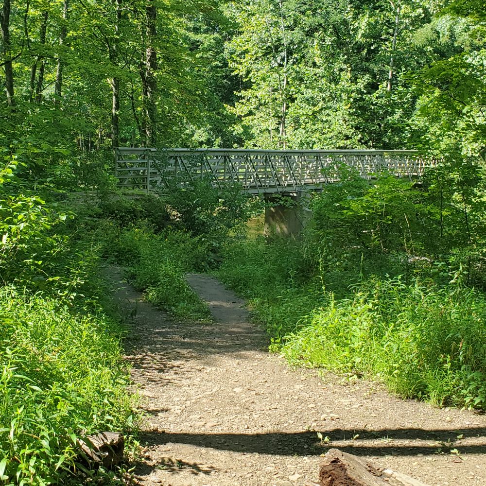 Outlook