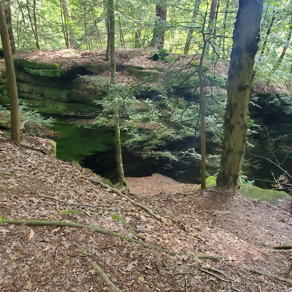 Outlook