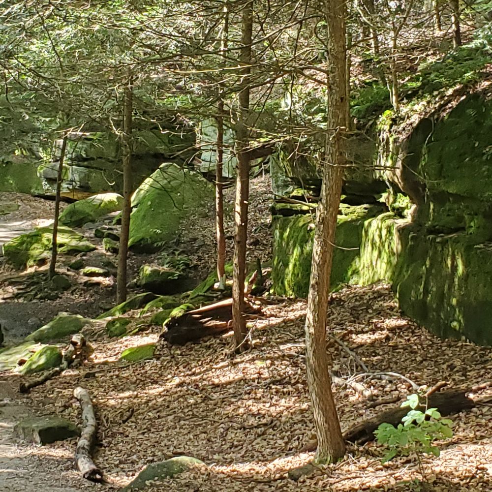 Outlook
