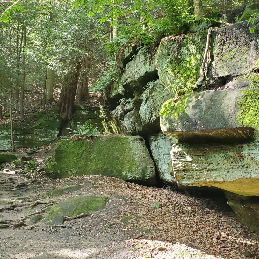 Outlook