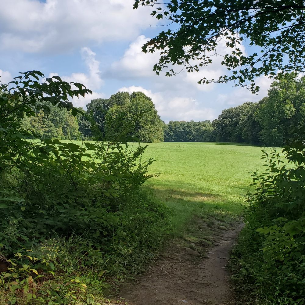 Outlook