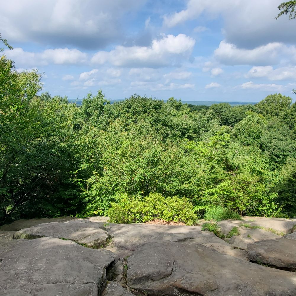 Outlook
