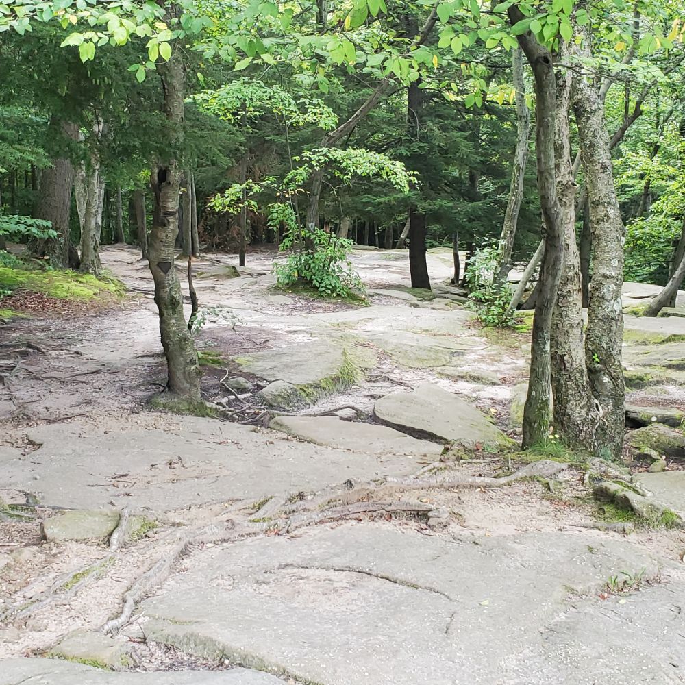 Outlook