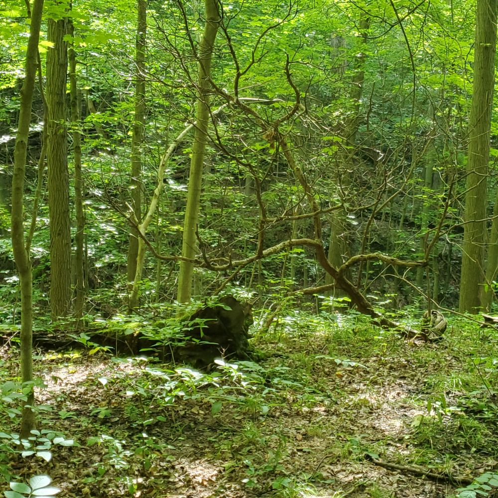 Outlook