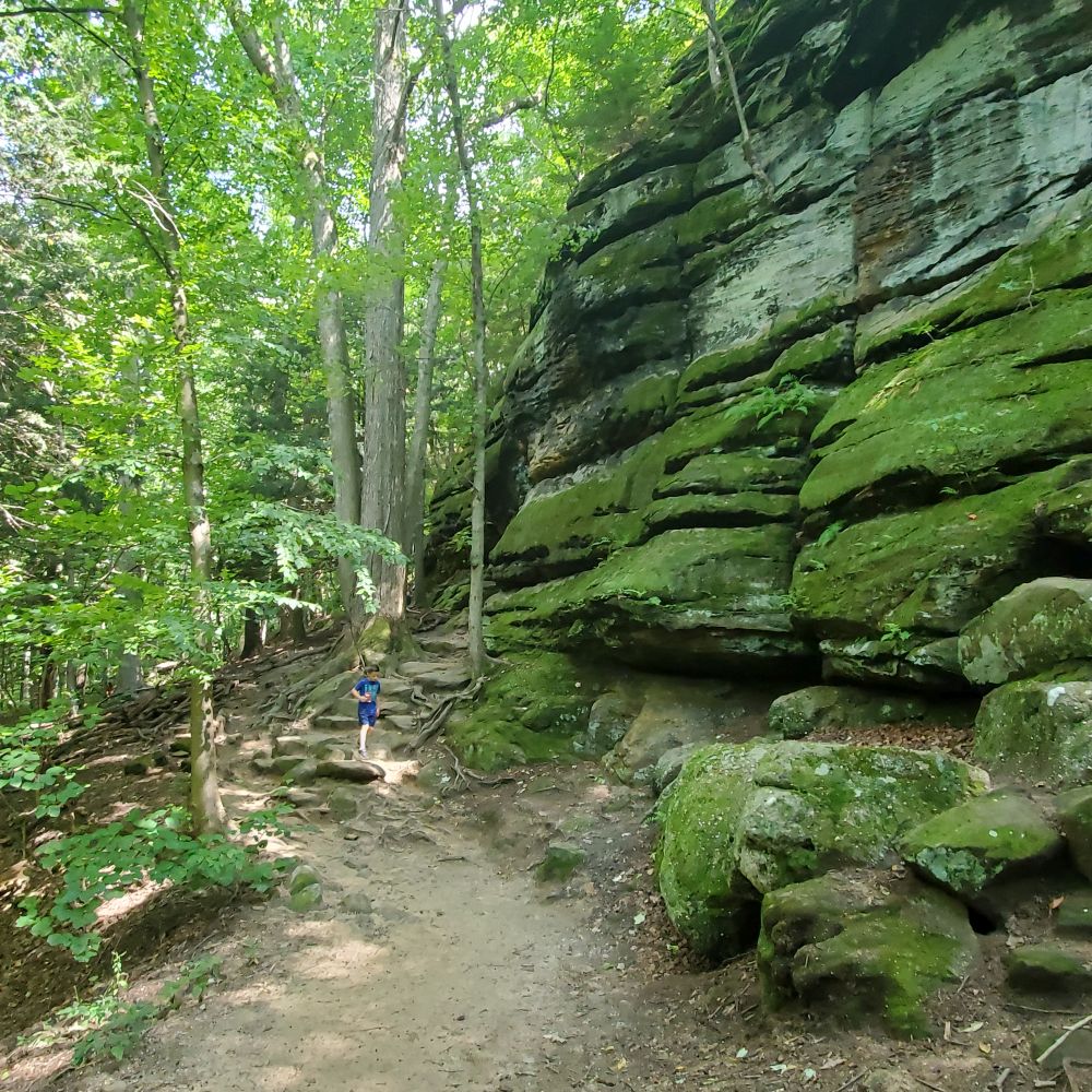 Outlook