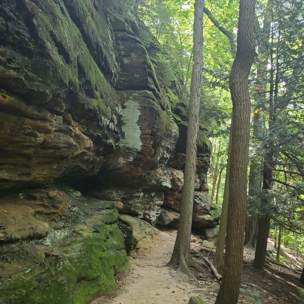 Outlook