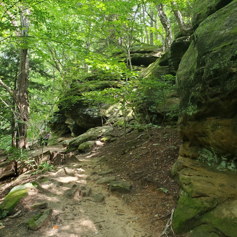 Outlook