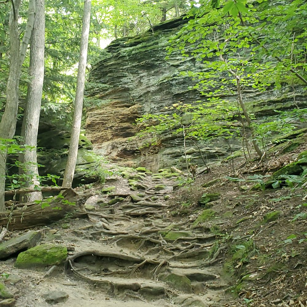 Outlook