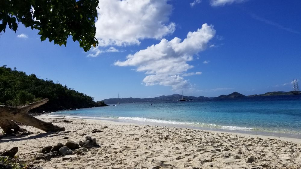Monday Salomon Bay