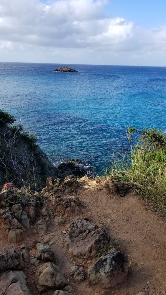 Outlook