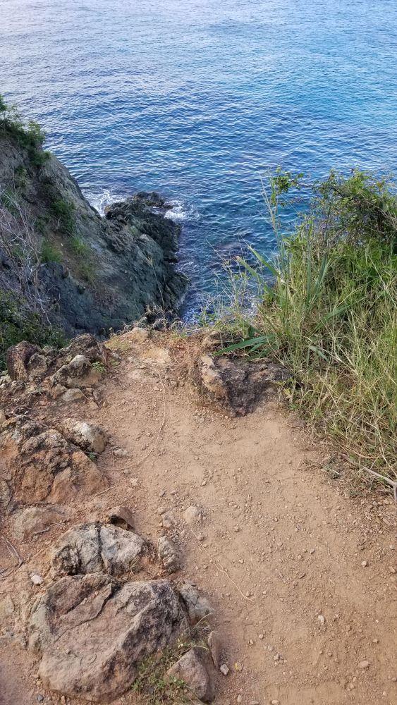 Outlook