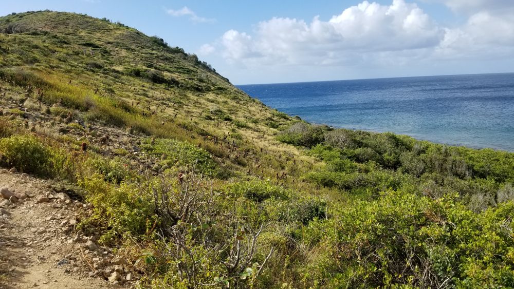Outlook