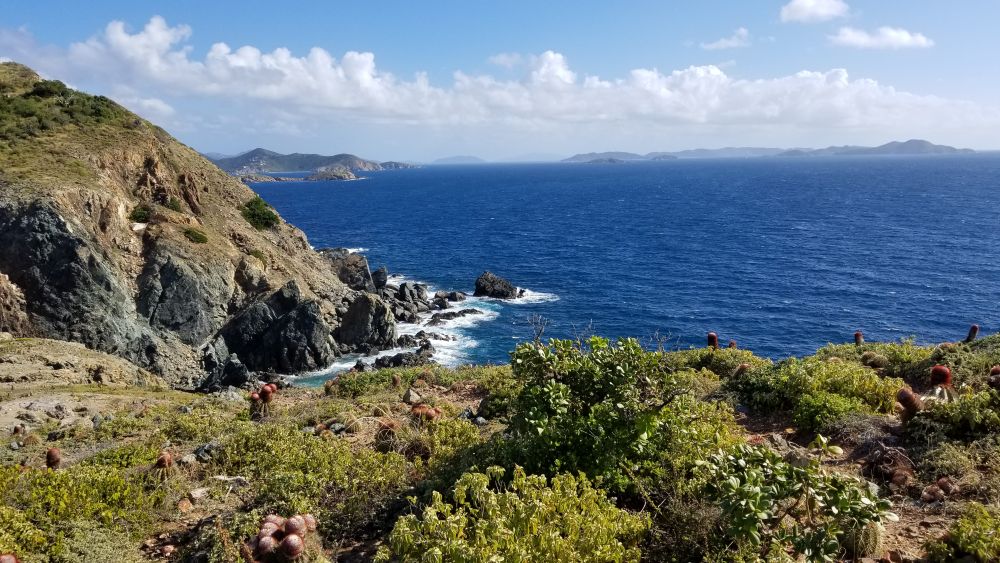 Outlook