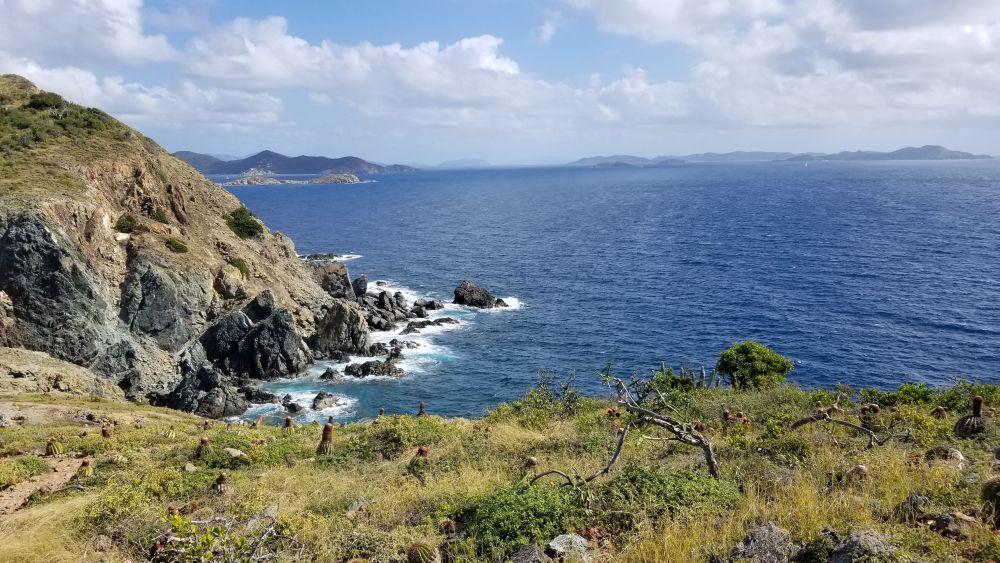 Outlook