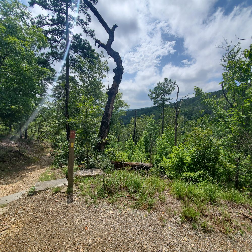 Outlook