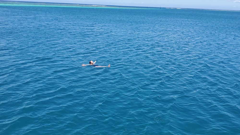 Outlook