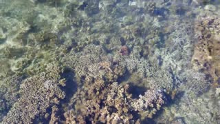 Manava Resort