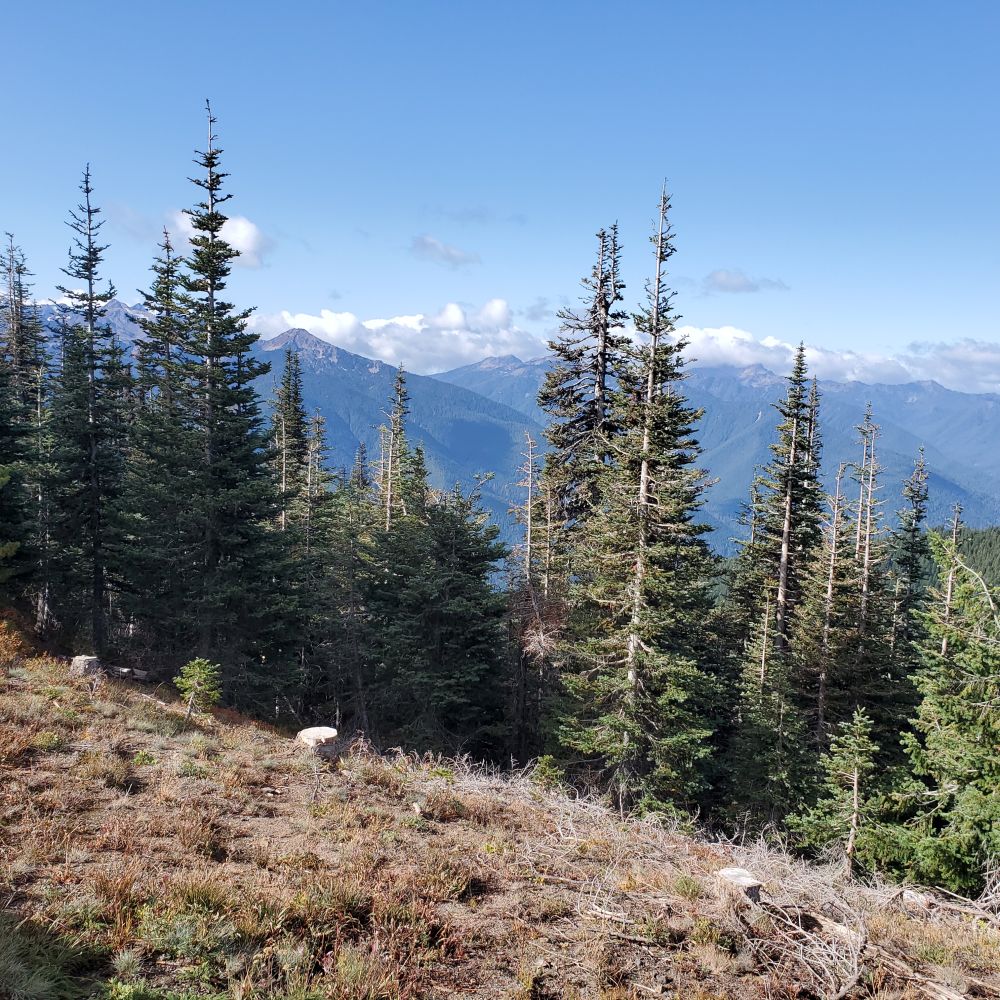 Outlook