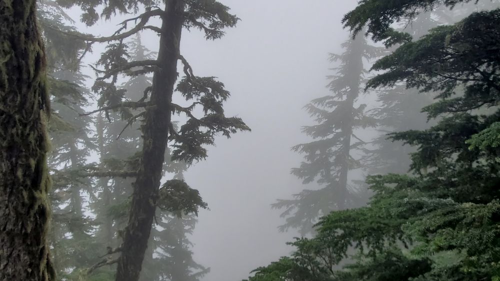 Outlook
