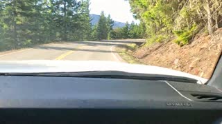 Olympic NP