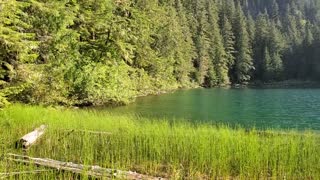 Mount Rainier NP