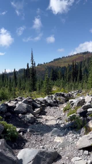 Mount Rainier NP