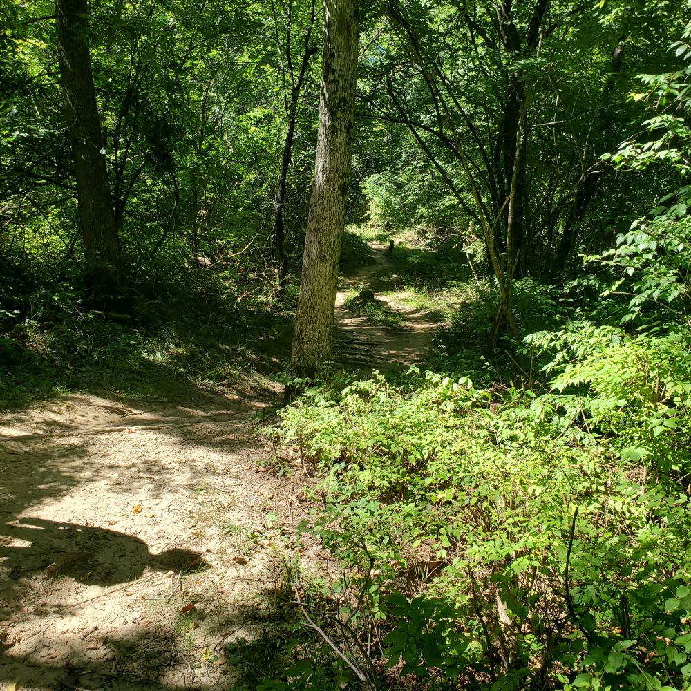 Outlook