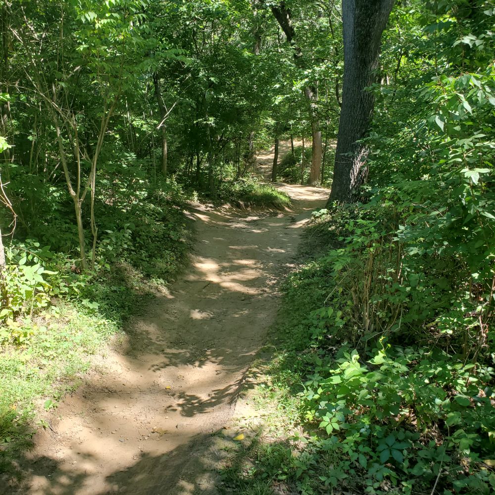 Outlook