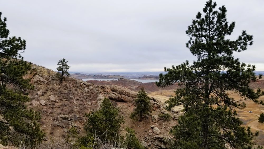 Outlook