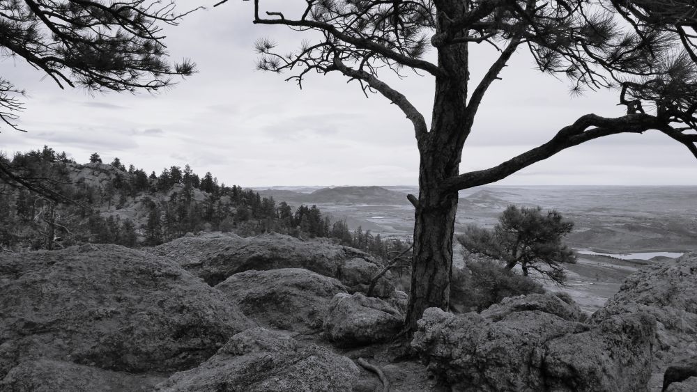 Outlook