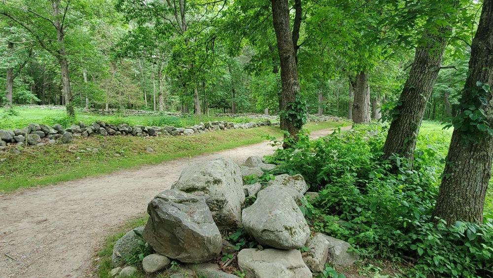 Outlook