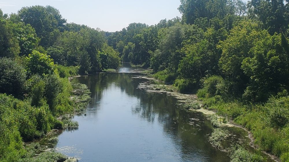 Warrenville Grove Forest Preserve