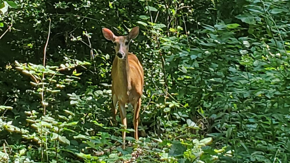 Outlook